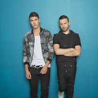 Timeflies