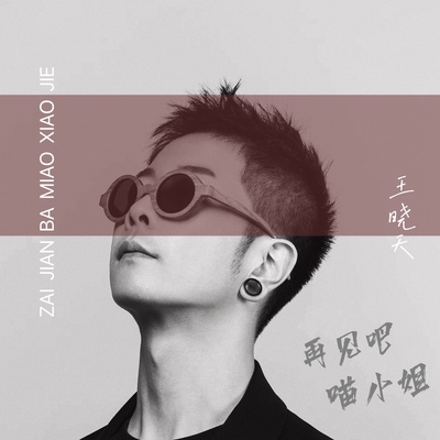 再见吧喵小姐封面