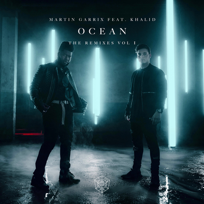Ocean (DubVision Remix) - Martin Garrix封面