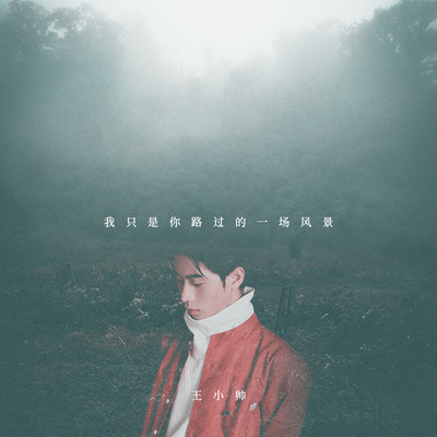 我只是你路过的一场风景封面