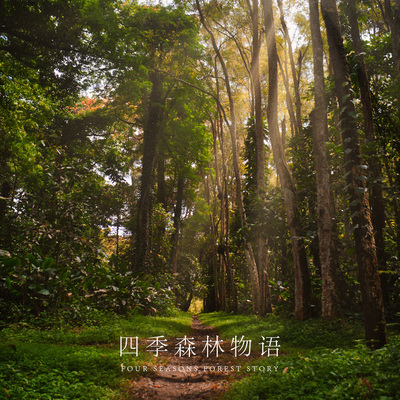 笑脸封面
