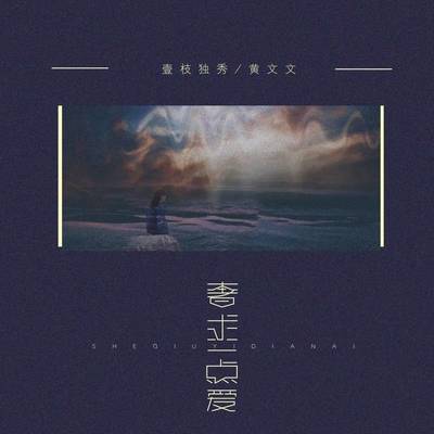 奢求一点爱伴奏 - 黄文文 / 壹枝独秀封面