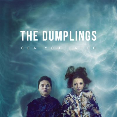 Dark Side - the dumplings封面