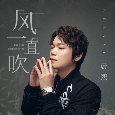 风一直吹 (DJ沈念版)封面