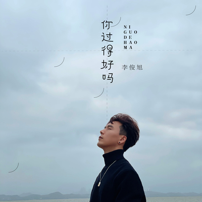 你过得好吗(DJR7版)封面