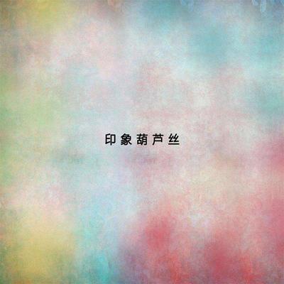 心想唱歌就唱歌（专辑：印象葫芦丝）封面