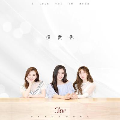 很爱你 (伴奏) - 黑鸭子组合封面