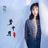 梦中月(网剧《明月照我心》插曲)