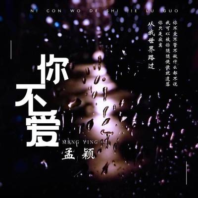 你不爱(纯音乐)封面