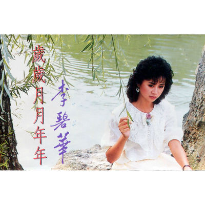 岁岁月月年年封面