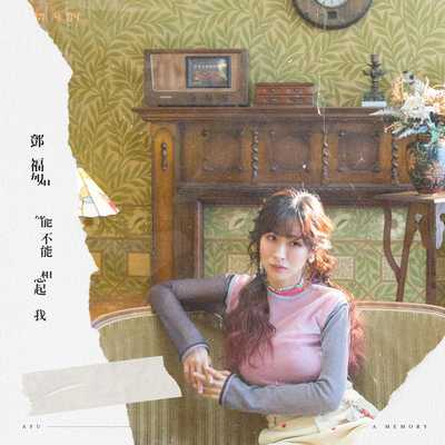 能不能想起我(电影《杏林医院》主题曲)封面
