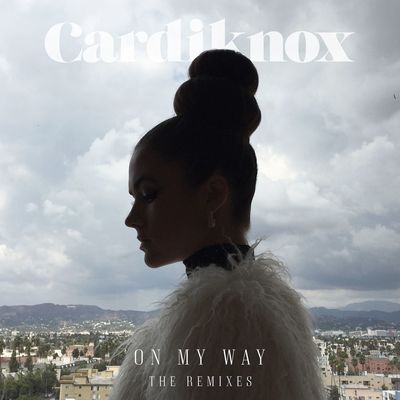 On My Way (Leeyou And Danceey Remix)封面