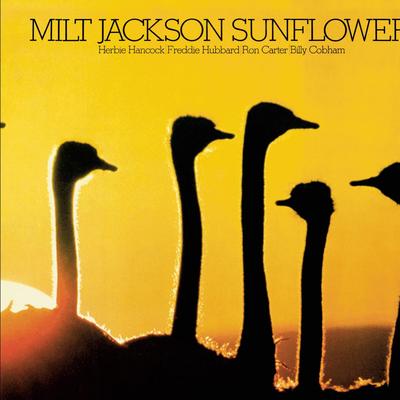 Sunflower封面