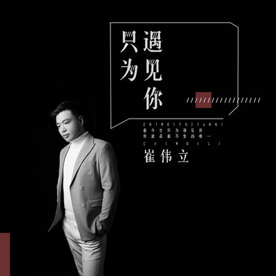 只为遇见你(伴奏)封面