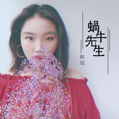 蜗牛先生(伴奏)封面