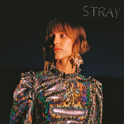 Stray封面