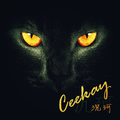 我们的回忆 - 沉珂封面