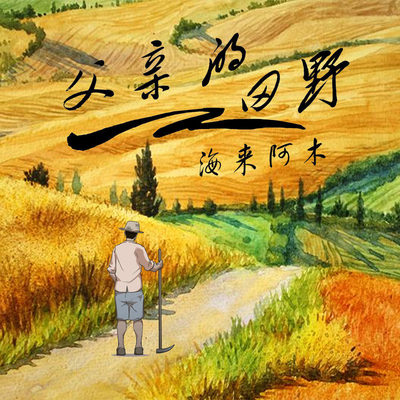 父亲的田野DJ沈念版 - 海来阿木封面