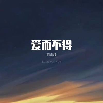 爱而不得 - 雨宗林封面