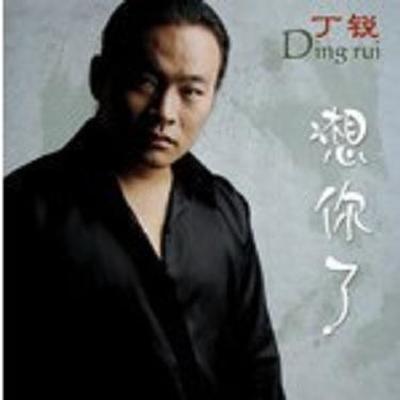 想你了（完整版） - 丁锐封面