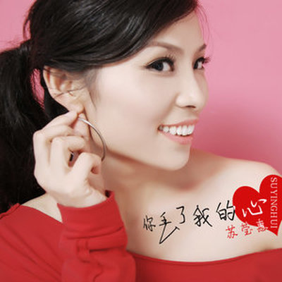 你丢了我的心(伴奏)封面