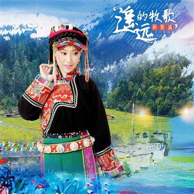 遥远的牧歌(伴奏)封面