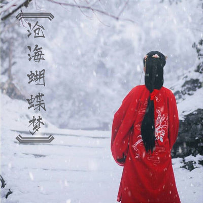 沧海蝴蝶梦封面