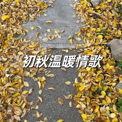 深秋的祝褔封面