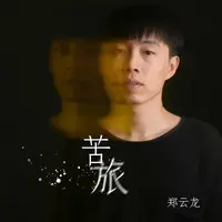 苦旅(DJ可乐版)