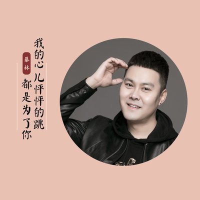 我的心儿怦怦的跳都是为了你(伴奏) - 暴林封面