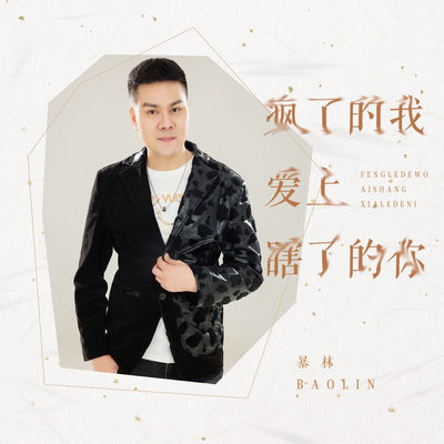 疯了的我爱上瞎了的你 - 暴林封面