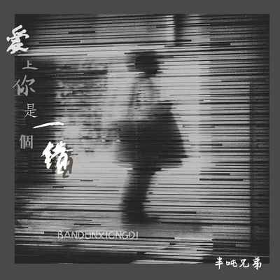爱上你是一个错 (DJ桃子阿版)封面
