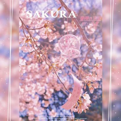 春樱の恋記 - 花愈封面