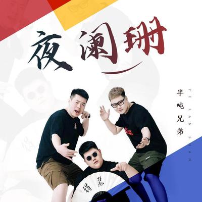 夜阑珊(DJ名龙版)封面