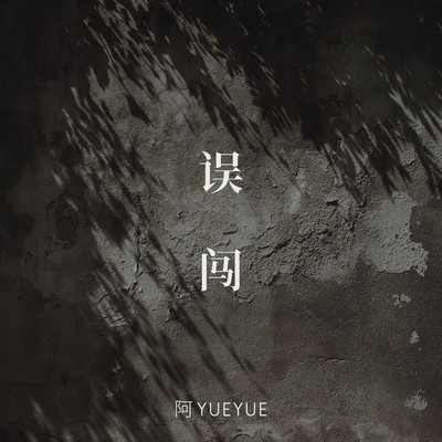 误闯(伴奏)封面