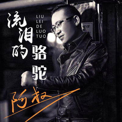 流泪的骆驼(伴奏)封面
