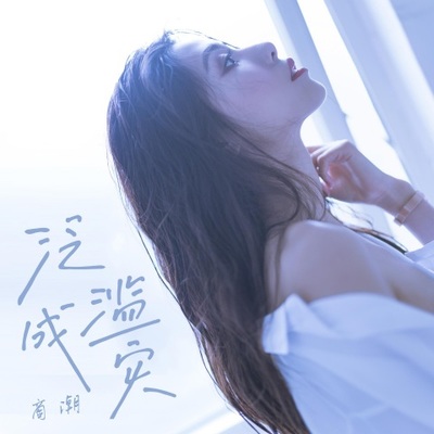 泛滥成灾封面