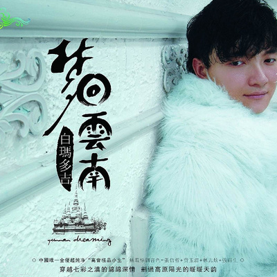 梦回云南封面