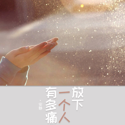 放下一个人有多痛 (DJ沈念版)封面