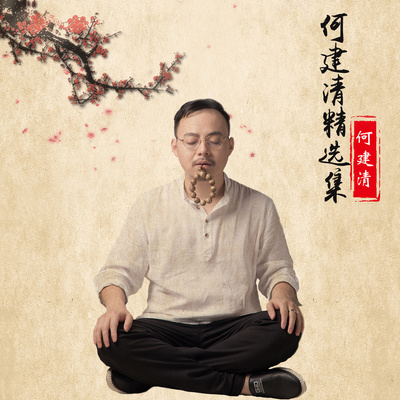 爱你情歌 (DJ版)封面
