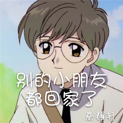 耿耿星河封面