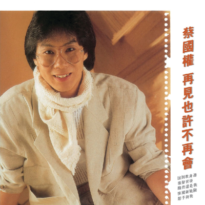 再见也许不再会封面