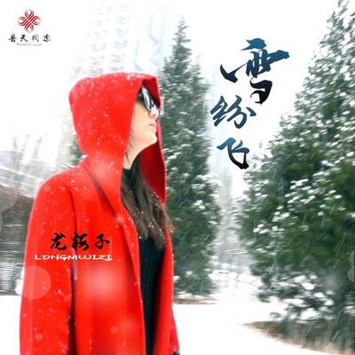 雪纷飞封面