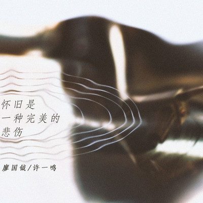 怀旧是一种完美的悲伤（完整版）封面