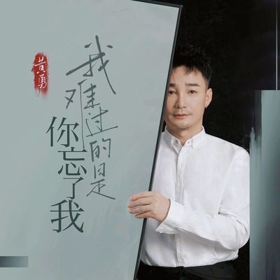 我难过的是你忘了我伴奏封面