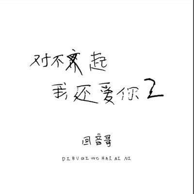 对不起我还爱你2伴奏封面