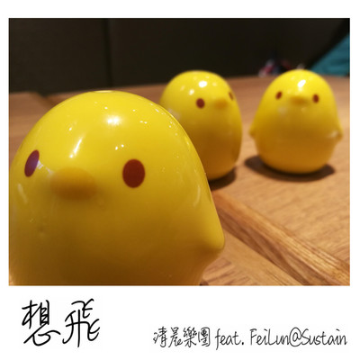 想飞（featuring FeiLun from Sustain）封面