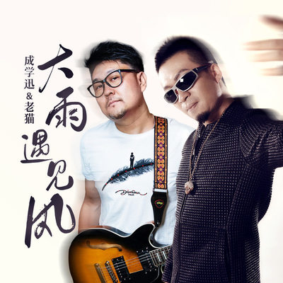 大雨遇见风(DJ默涵版)封面