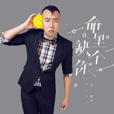 命里缺个你（DJ沈念加速版）封面