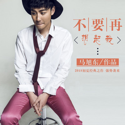 不要再想起我（完整版）封面